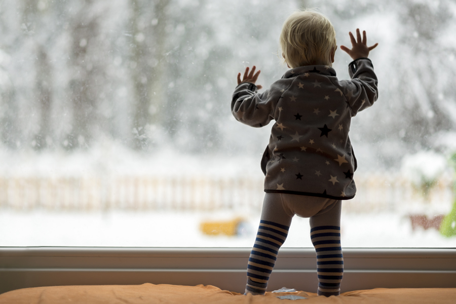 snow child